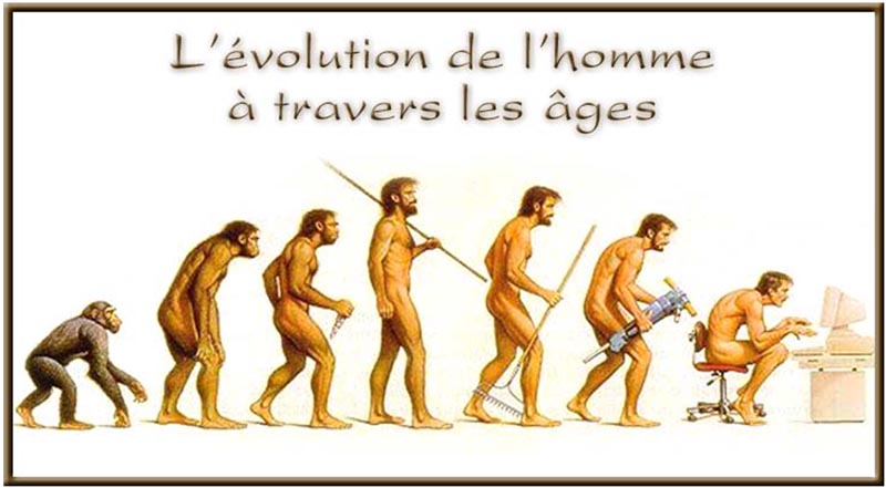 evolution de l'homme